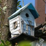 Vogelfutterhӓuser