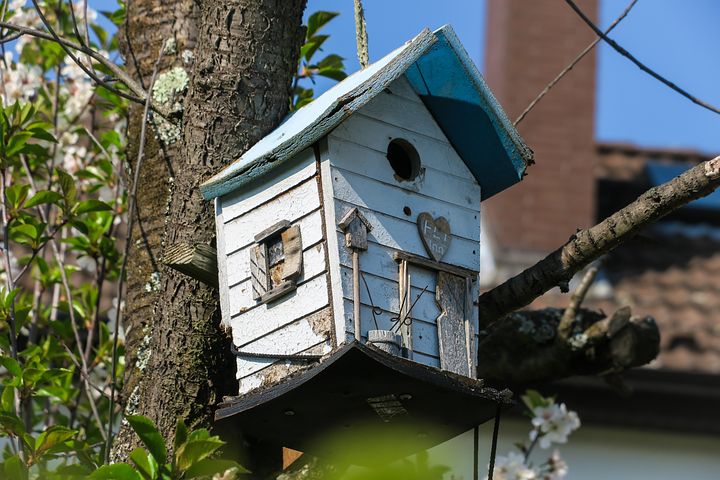 Vogelfutterhӓuser